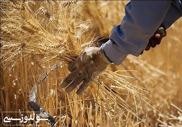 اشتغال‌زایی برای خانواده و اهالی روستا