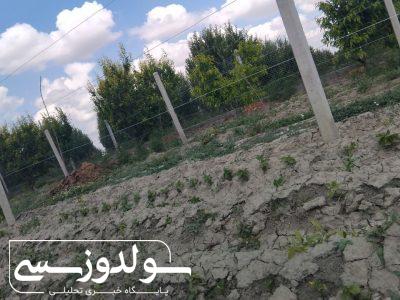 زن روستایی فقط قصه نیست، واقعیت است