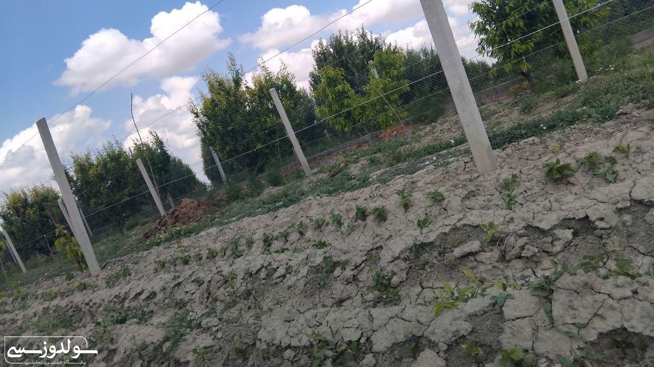 زن روستایی فقط قصه نیست، واقعیت است