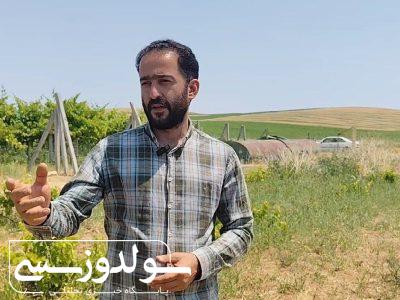 کشت زعفران راهکاری برای مقابله با کم‌آبی است