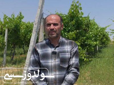 سرمایه‌گذاری در نقده راهی به رشد پایدار است