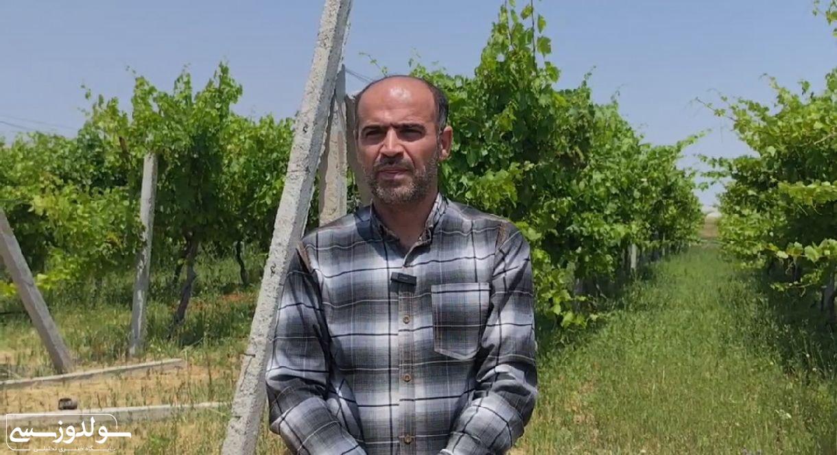 سرمایهگذاری در نقده راهی به رشد پایدار است