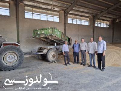 اتحادیه در فرآیند خرید گندم نظارت مستقیم دارد