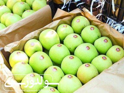 زنجیره تولید تا صادرات سیب آذربایجان‌غربی تقویت می‌شود