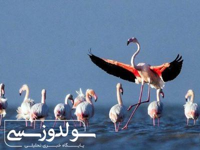 افزایش بارش‌ها نفس تازه‌ای به تالاب‌های آذربایجان‌غربی بخشید